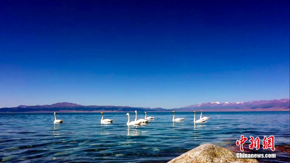 ????? ?????? ?? ???????? .. ???? ?????? ??????? ???????