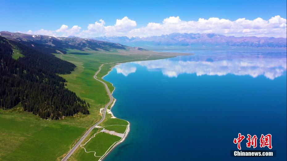 ????? ?????? ?? ???????? .. ???? ?????? ??????? ???????