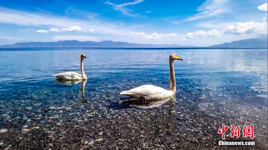 ????? ?????? ?? ???????? .. ???? ?????? ??????? ???????