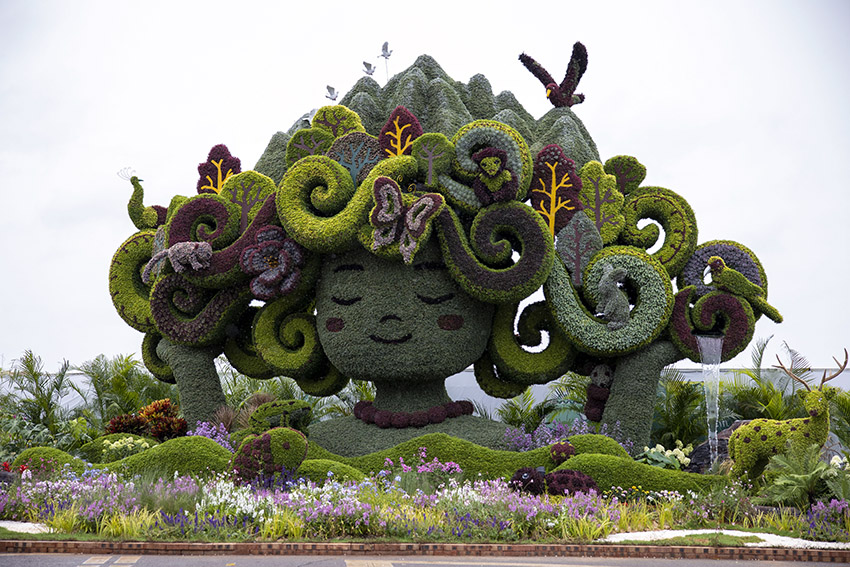 ?????? ????? ????? ?? ???????? ???15 ?????? ??????? ?? ??????? ?????? ????????? ??????? ?? ?????