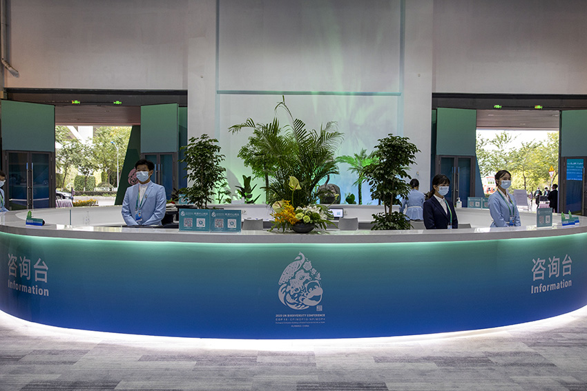 ?????? ????? ????? ?? ???????? ???15 ?????? ??????? ?? ??????? ?????? ????????? ??????? ?? ?????