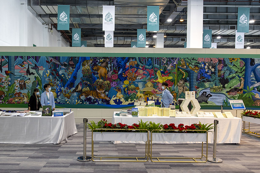 ?????? ????? ????? ?? ???????? ???15 ?????? ??????? ?? ??????? ?????? ????????? ??????? ?? ?????