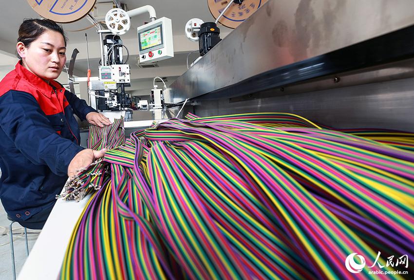 ?????????? ???: ????? ????? ????? ???? ????? ?????