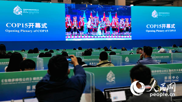 ?????? ??????? ????? 