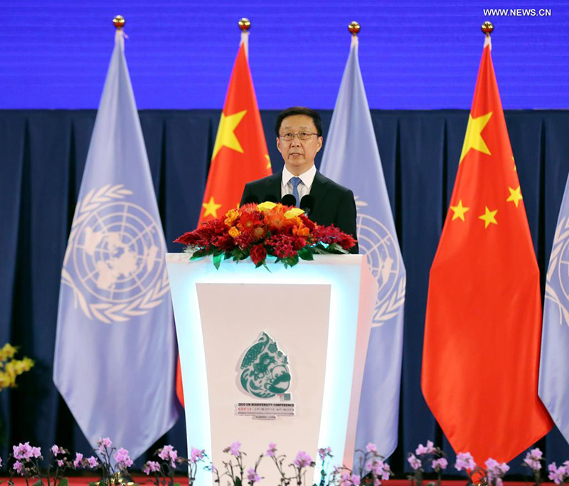 ???? ???? ???? ?????? ?????? ???? ??? ????? ????? ???? ??? ?????? ?????? ?????????