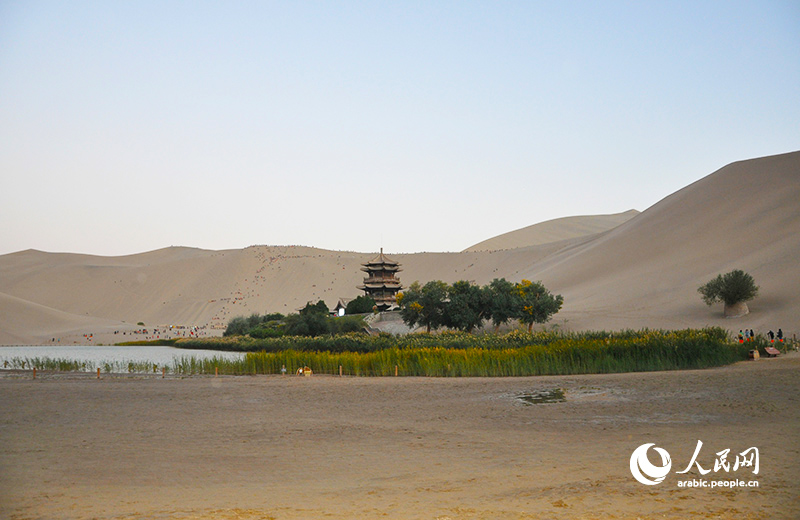 ????? ??????.. ????? ?? ??? ???? ??????? ?? ??????? ??? ???? ??????