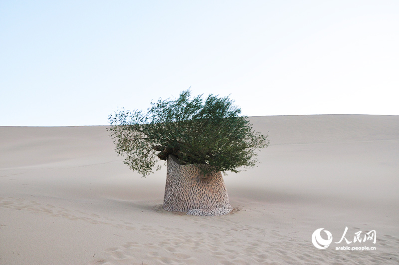 ????? ??????.. ????? ?? ??? ???? ??????? ?? ??????? ??? ???? ??????