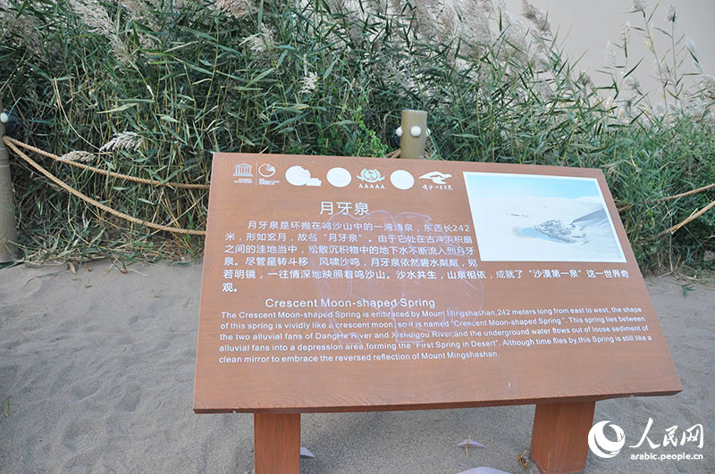 ????? ??????.. ????? ?? ??? ???? ??????? ?? ??????? ??? ???? ??????