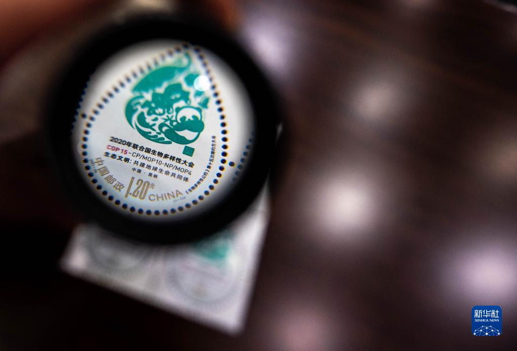 ????? ???? ????? ??????? ????15