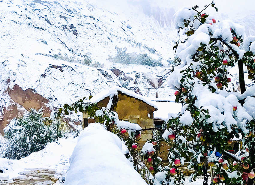 ???????? ? ?????: ??? ?????? ?????? ?????? ?????? ??????