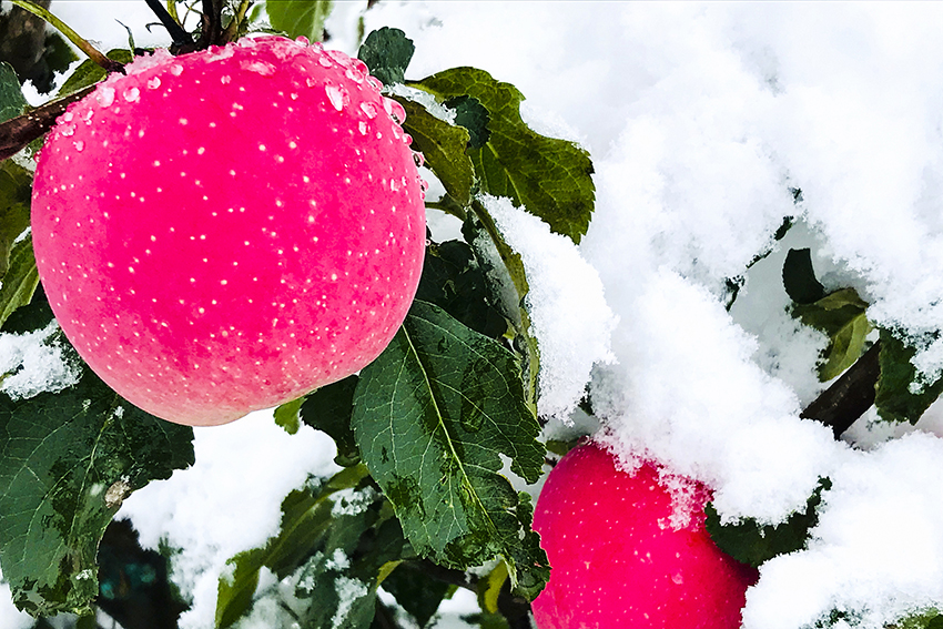 ???????? ? ?????: ??? ?????? ?????? ?????? ?????? ??????