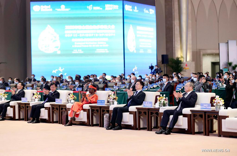 ???? ???? ???? ?????? ?????? ???? ??? ????? ??????? ????? ????? ????? ????? ?????? ??? ?????