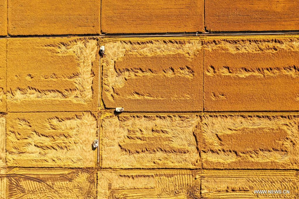 ???? ????? ?? ?????? ????? ???????