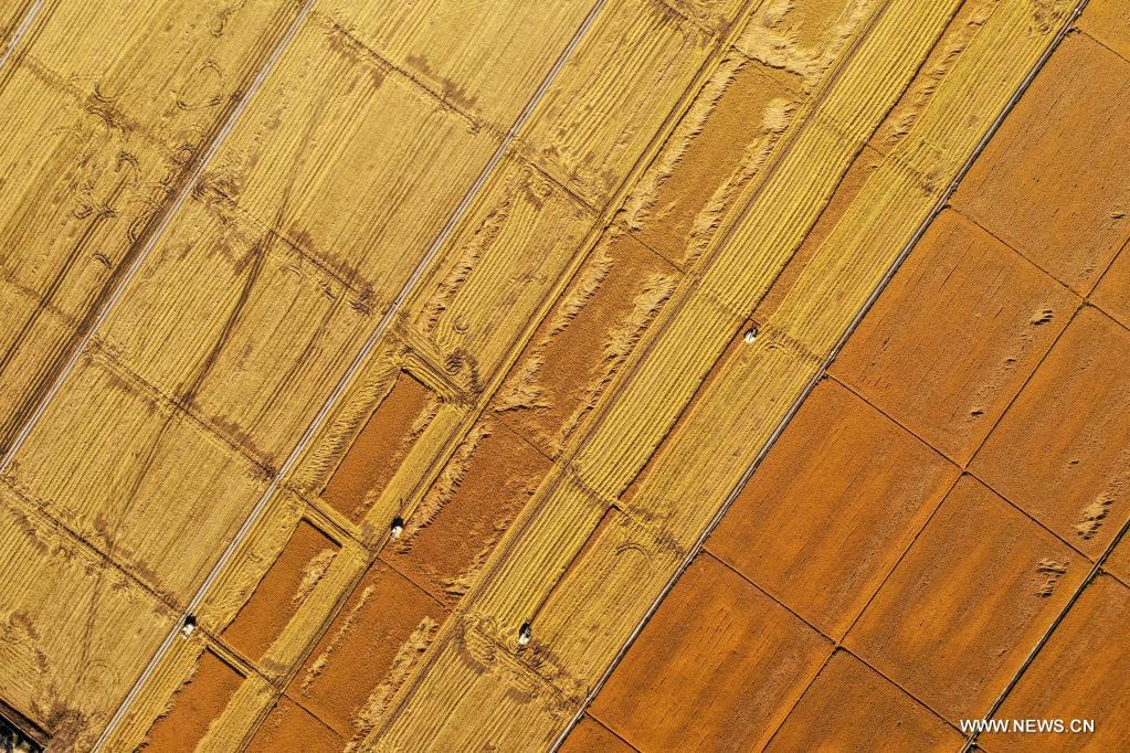 ???? ????? ?? ?????? ????? ???????