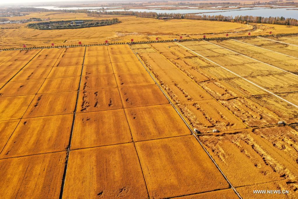 ???? ????? ?? ?????? ????? ???????