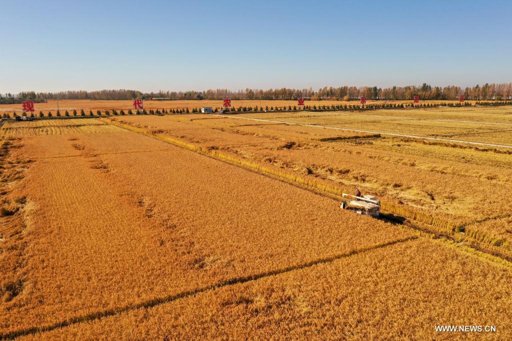 ???? ????? ?? ?????? ????? ???????