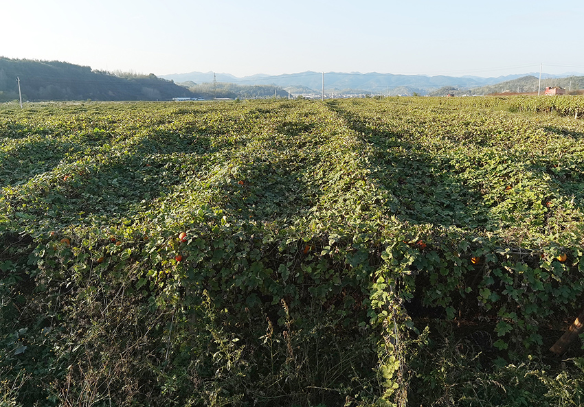 ???????? ???? ?????? ???? ???? ???????? ?????? ???????