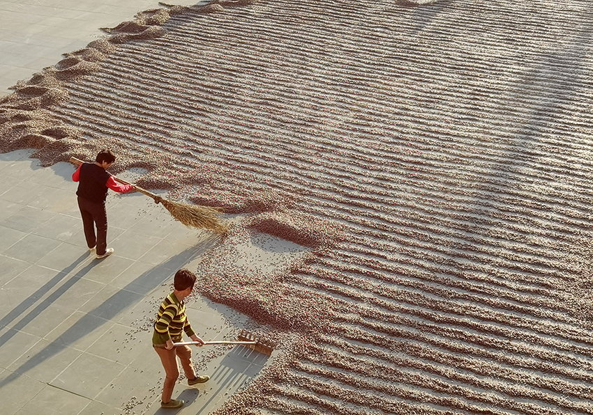 ???????? ???? ?????? ???? ???? ???????? ?????? ???????