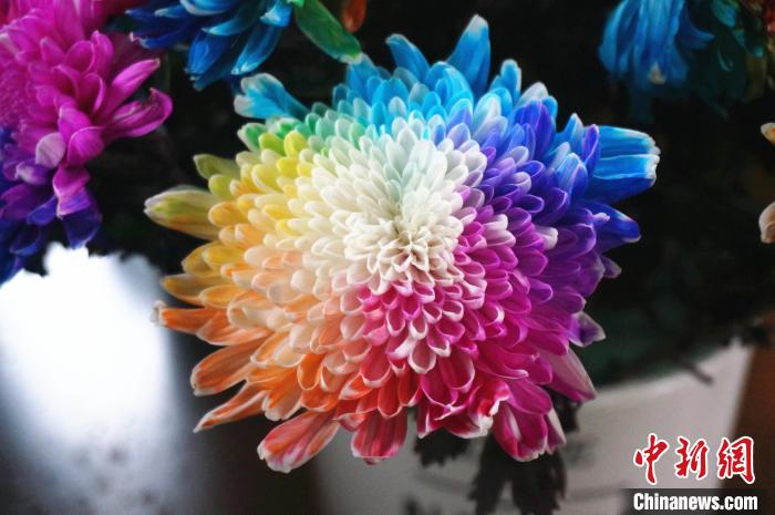 ??? ????? ???????? ????????