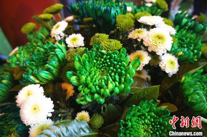 ??? ????? ???????? ????????