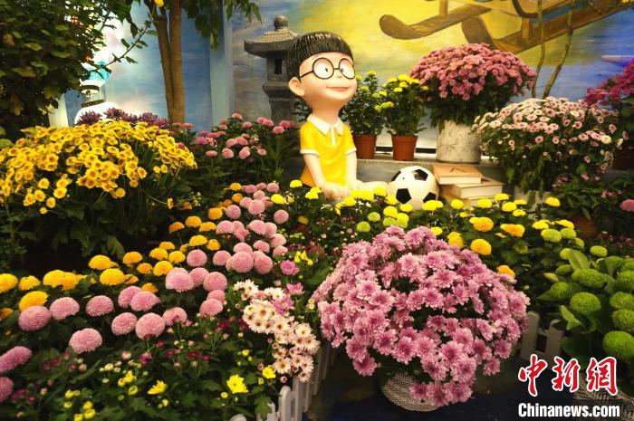 ??? ????? ???????? ????????