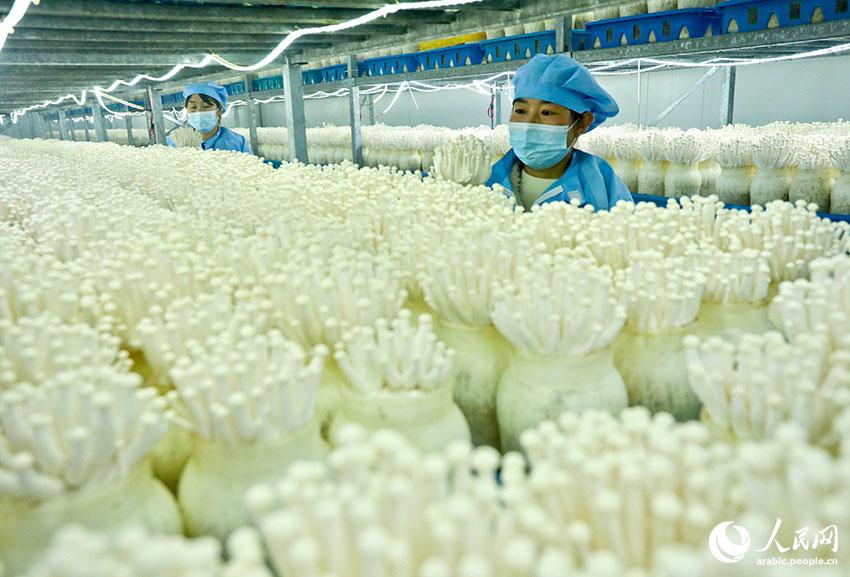 ??????? ?????: ??? ???? ???? ????? ?????