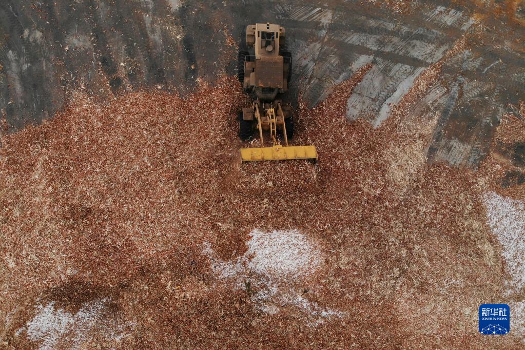 ????? ???????? ?? ???????? ??????? ?? ??????