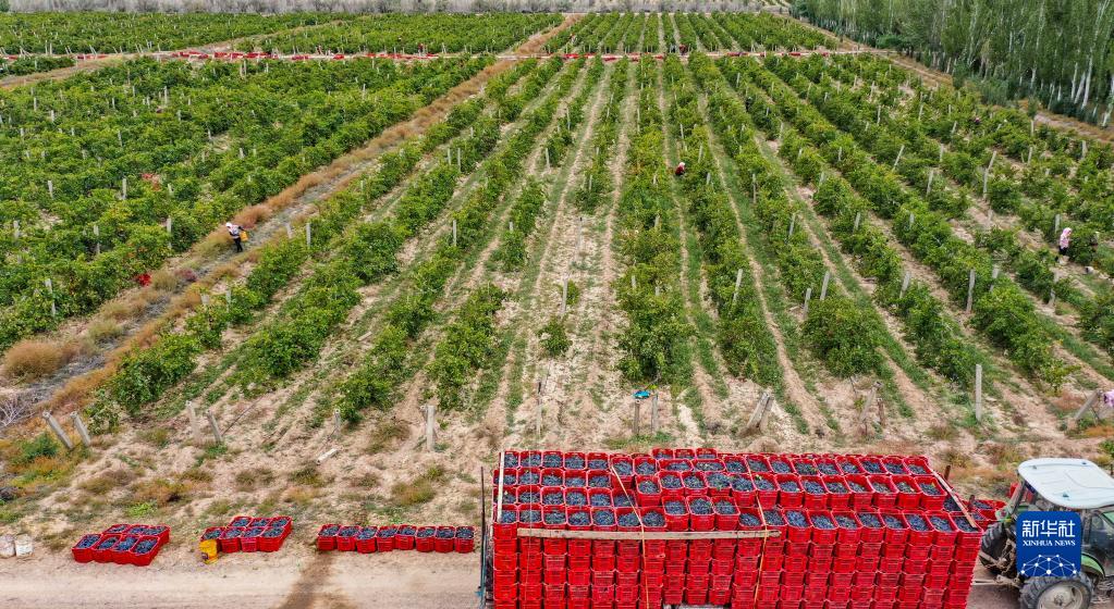 ??????? .. ???? ????? ???????? ?? ????? ??????