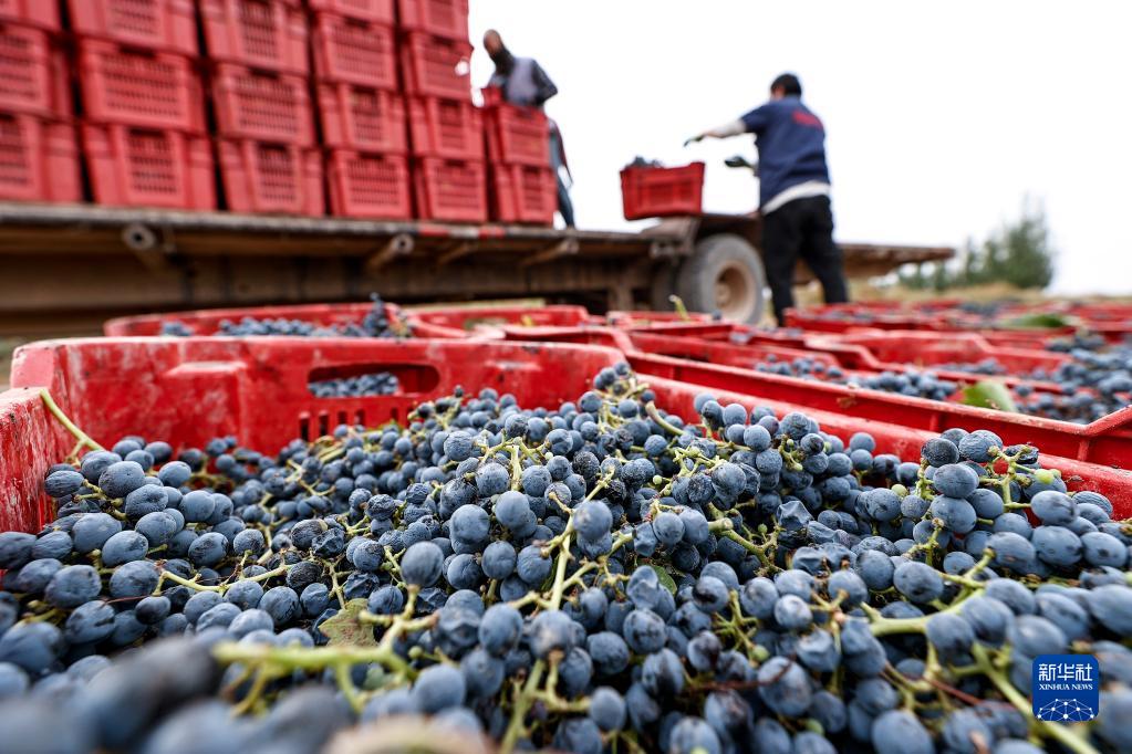 ??????? .. ???? ????? ???????? ?? ????? ??????