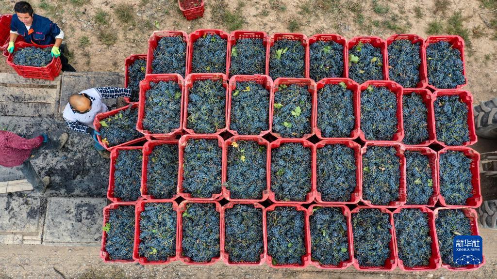 ??????? .. ???? ????? ???????? ?? ????? ??????