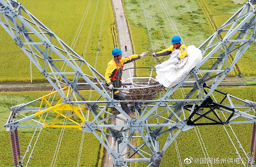 ???? ?? ??????? ?????? ???? ?????? ?????? ??? ?????? ?????? 40 ????