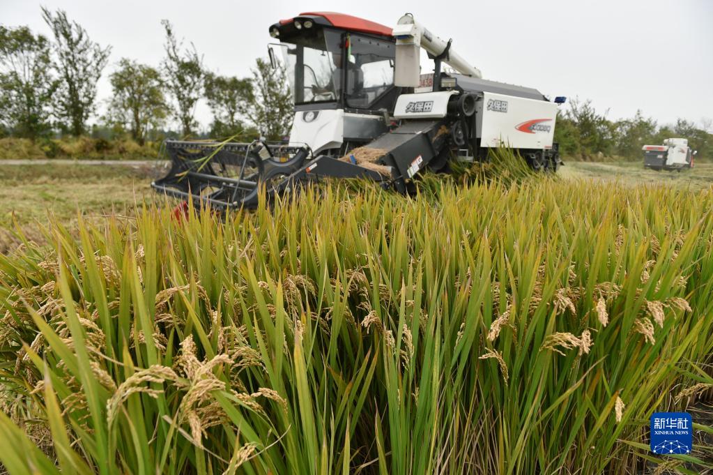 ?????: ????? ??????? ???? ?????? ???? ?????
