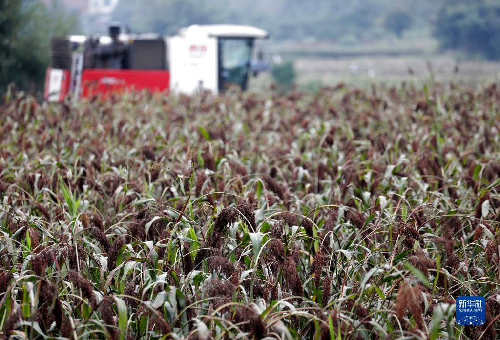 ?????: ????? ??????? ???? ?????? ???? ?????
