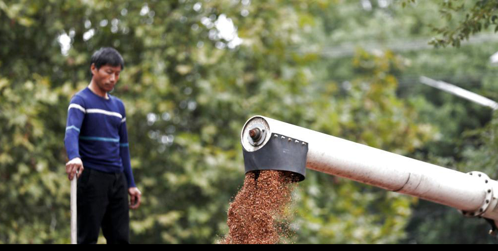 ?????: ????? ??????? ???? ?????? ???? ?????
