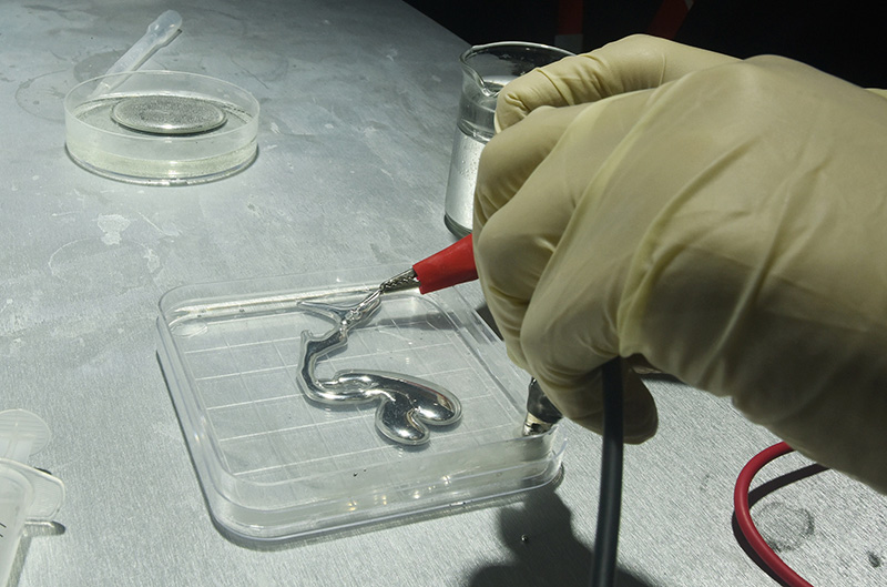 ???? ???? ???? ???? ????? ????????? ?????? ??????