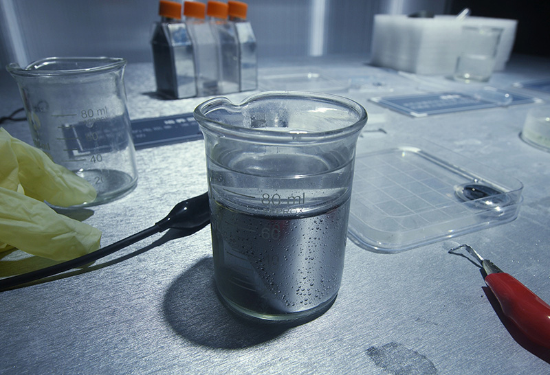 ???? ???? ???? ???? ????? ????????? ?????? ??????