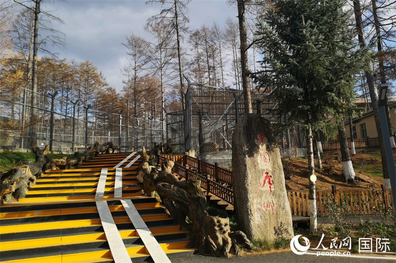 ???? ?? ????? ????? ???????? ?? ???? ???? ?????.. ???? ???? ??? ??????