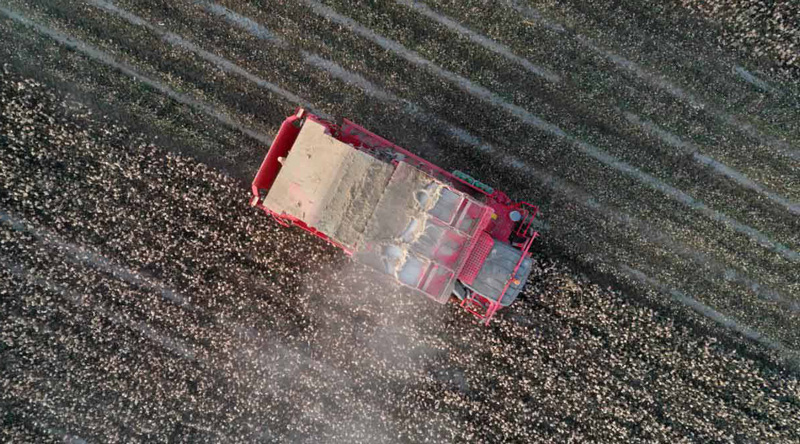 ?? ???? ????? .. ???????? ????? ?????? ??????? ?????? 