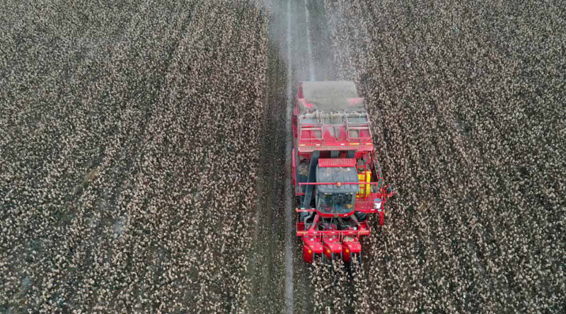 ?? ???? ????? .. ???????? ????? ?????? ??????? ?????? 