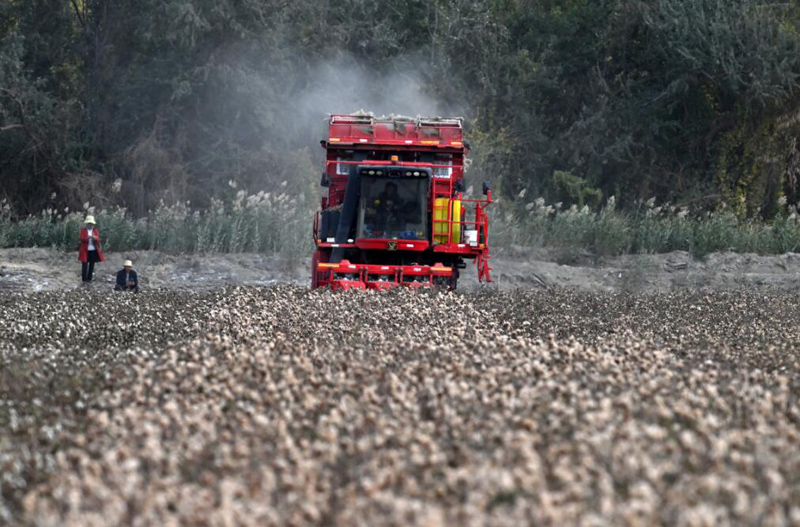 ?? ???? ????? .. ???????? ????? ?????? ??????? ?????? 