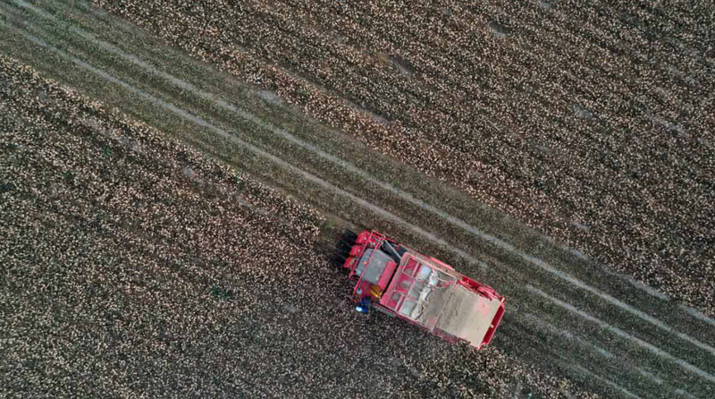 ?? ???? ????? .. ???????? ????? ?????? ??????? ?????? 