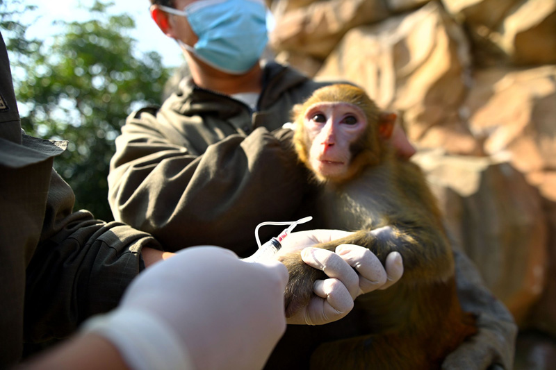 ????? ???????? ???? ?????? ???? ????????? ?????? ?? ???? ??? ??????