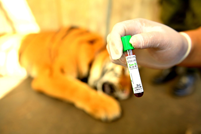 ????? ???????? ???? ?????? ???? ????????? ?????? ?? ???? ??? ??????