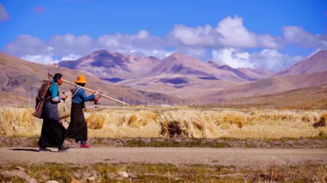 ???? ??? ??? ???? ?????? ??? ??? ??? ???????????