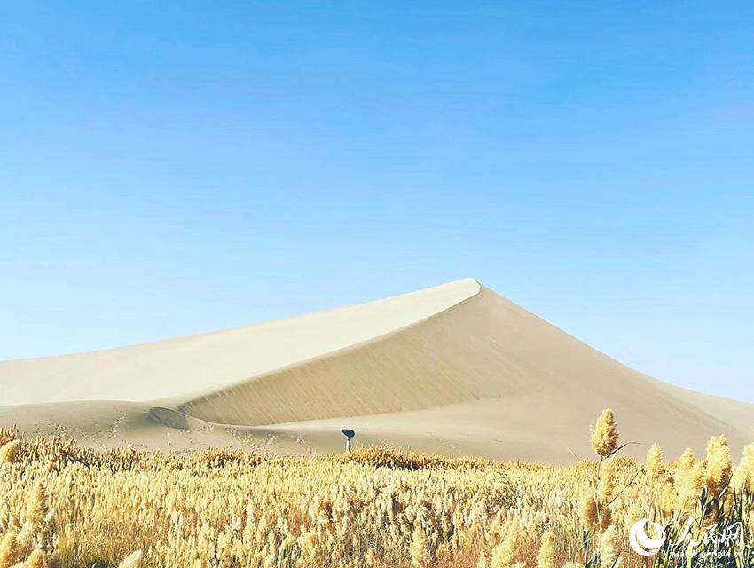 ??????: ???? ?????? ???? ?????? ???? ?????? ?? ???????? ???????