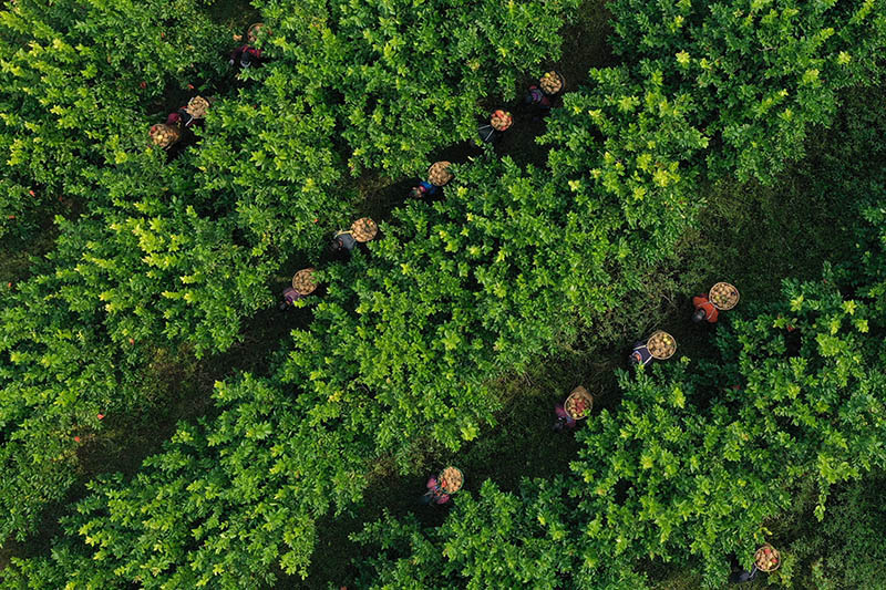 ???????? ???????: ????? ??????? ????? ??? ??????