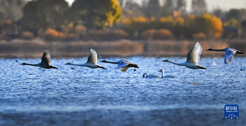 ??????? ?????? ?????? ???? 