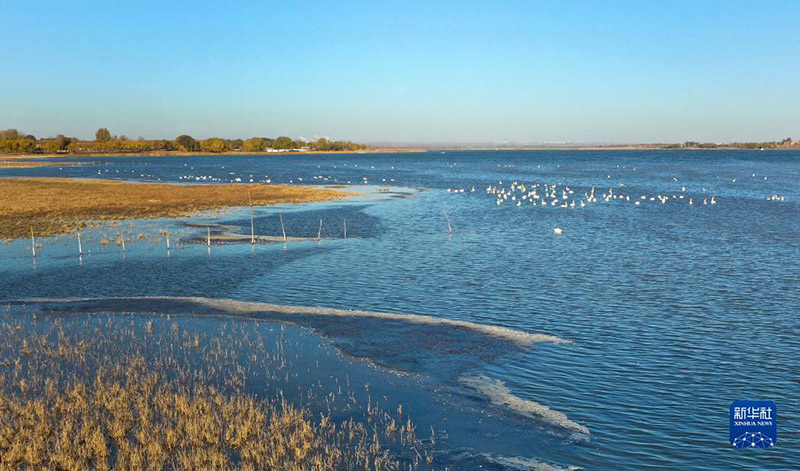 ??????? ?????? ?????? ???? 