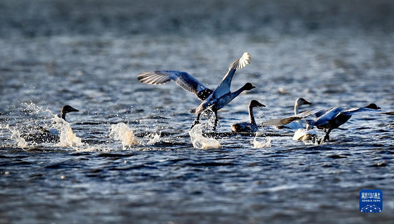 ??????? ?????? ?????? ???? 