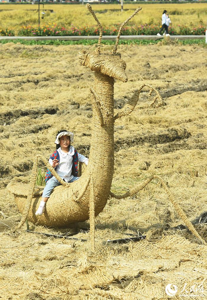 ?????? ????????? ?? ???????